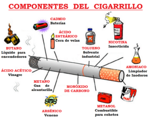el esquema del cigarro como se compone este producto tan fascinante
