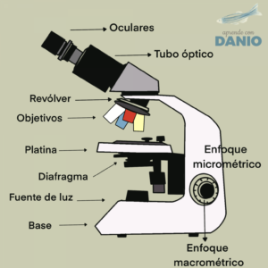 esquema microscopio todo lo que necesitas saber sobre los diferentes tipos de microscopios