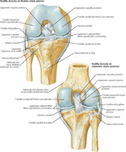 Lo que tienes que saber sobre el Esquema de rodilla 107 todo lo que necesitas saber sobre el esquema de rodilla