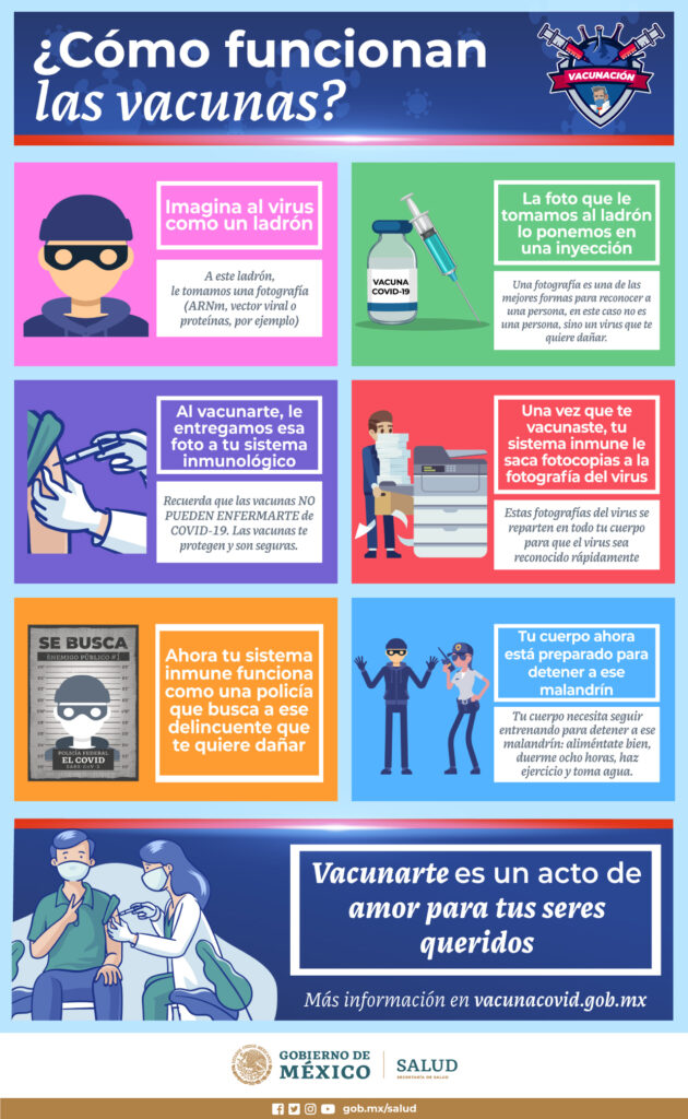 Esquema de Vacunación: Protege tu salud y la de tu familia 2 esquema de vacunacion protege tu salud y la de tu familia