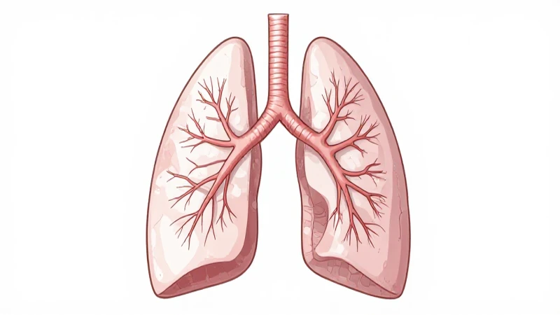 Esquema de los Bronquios y Pulmones: Estructura y Funcionamiento 5 Ilustración anatómica de pulmón sano