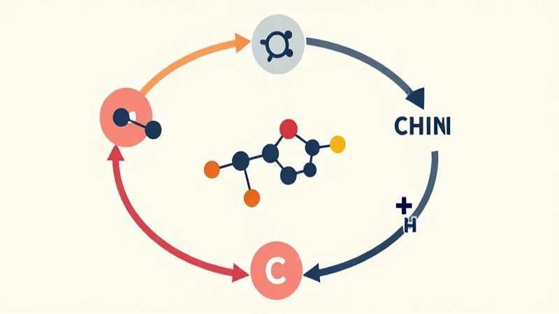 Diagramas de carbohidratos, diseño isométrico circular