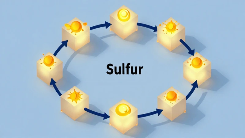 Ciclo del azufre ilustrado científicamente e isométrico