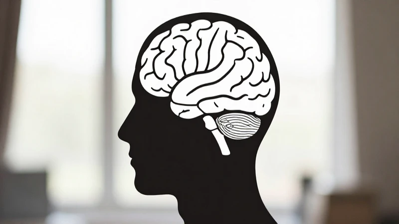 El Esquema Corporal: La Relevancia de Conocer Nuestro Cuerpo 3 Silueta humana con cerebro en luz suave