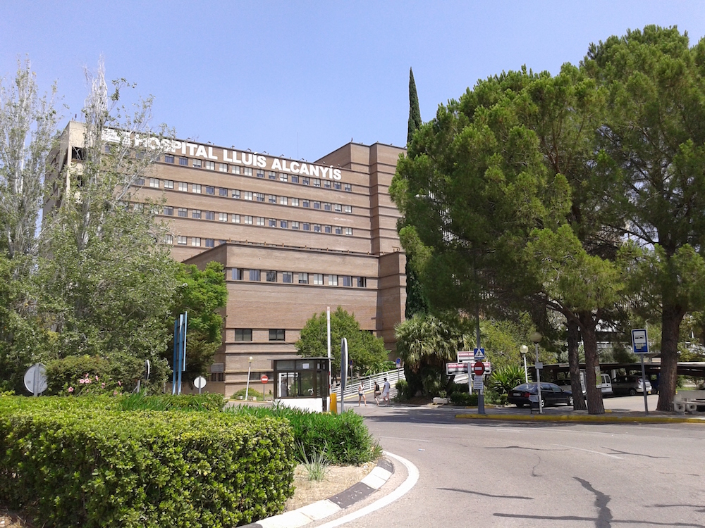 cual es el organigrama del hospital lluis alcanyis