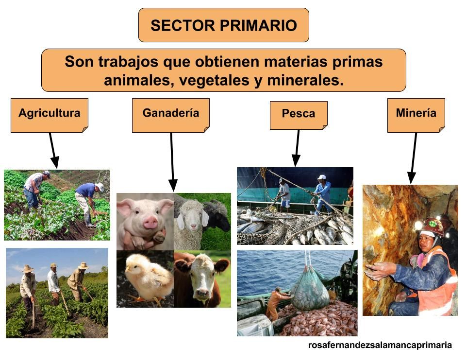 ESQUEMA EL CTRICO Descubre Los SECRETOS Detr s Del Dise o El ctrico