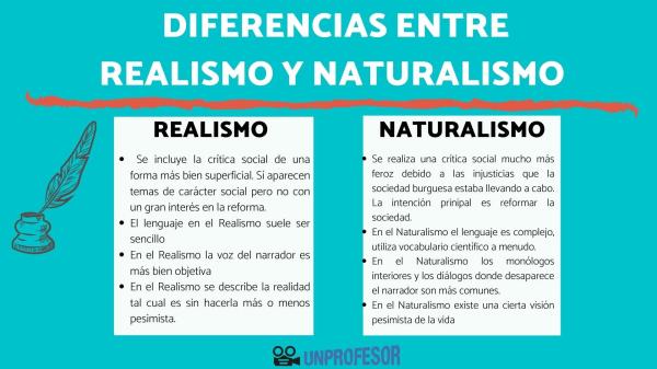 cuales son las claves y detalles del realismo y naturalismo