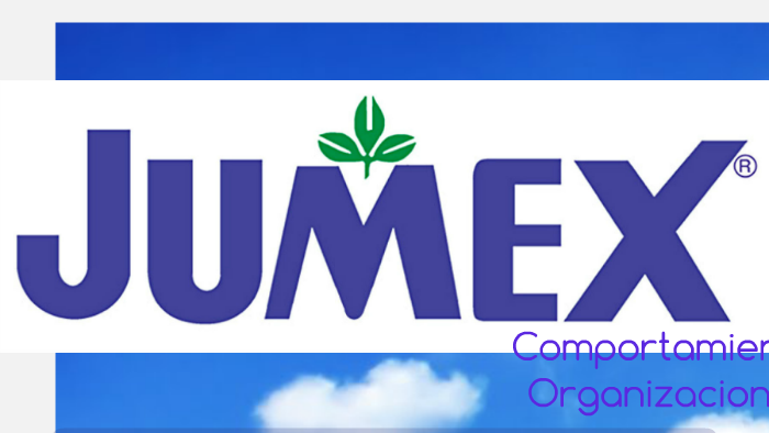 cuales son los elementos y funciones del organigrama jumex 2024