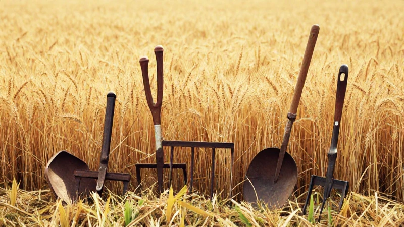 Cuáles son las herramientas antiguas en la agricultura 7 Herramientas antiguas y trigo bajo luz cálida