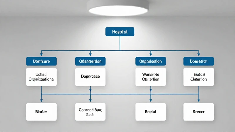 Cuál es la estructura organizativa del Hospital San Juan 4 Organigrama hospitalario, iluminación suave y gráfica