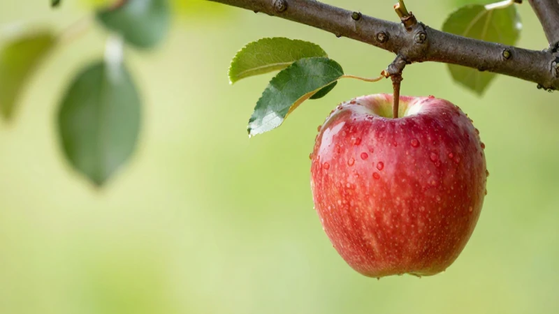 Ilustración científica de una manzana al caer