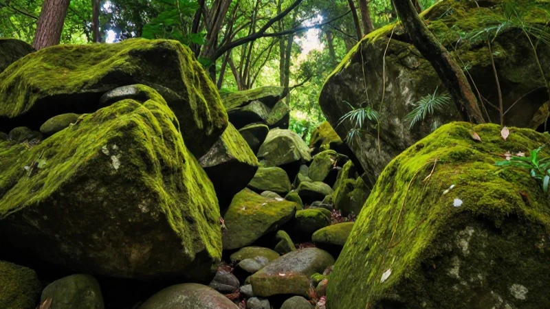 Cuáles son los descubrimientos clave en la evolución biológica 6 Bosque antiguo y musgoso, luz etérea y pictórica