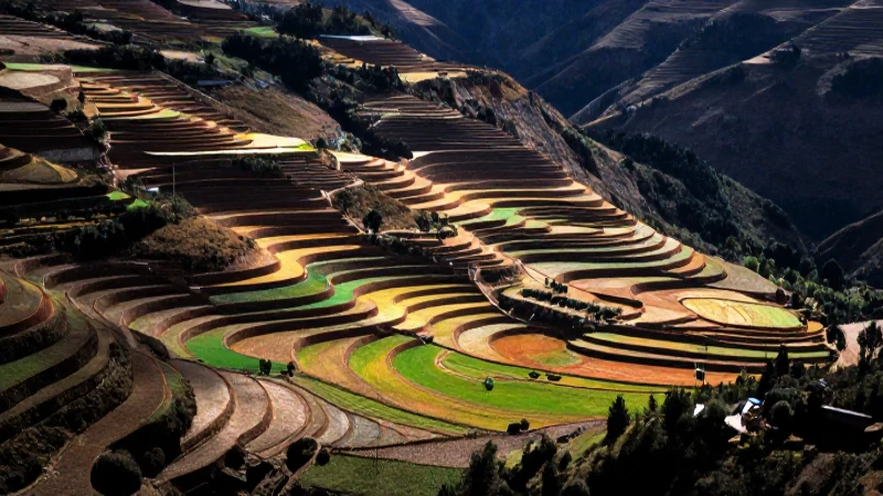 Paisaje andino vibrante con terrazas escalonadas