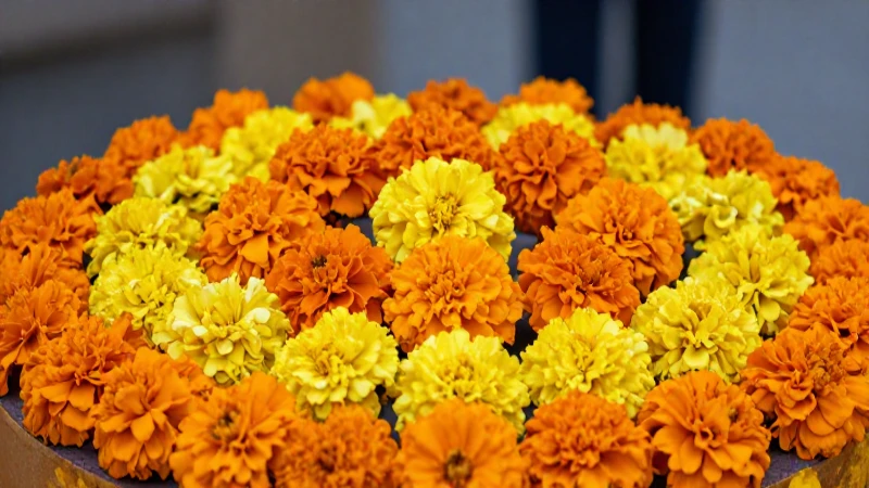 Ofrendas florales coloridas bajo luz suave