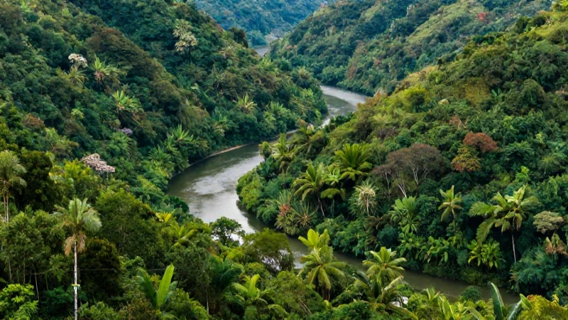 Cómo se interrelacionan ecosistema y medio ambiente 6 Naturaleza exuberante: río, luz y colores vibrantes