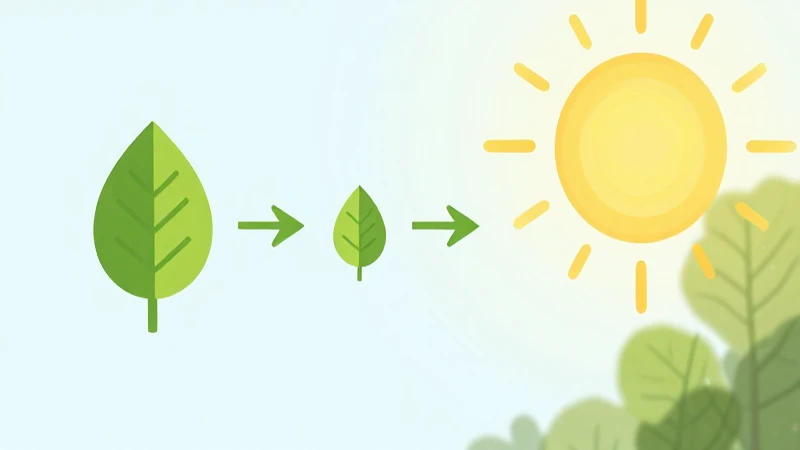 Ilustración simplificada con hojas y luz brillante
