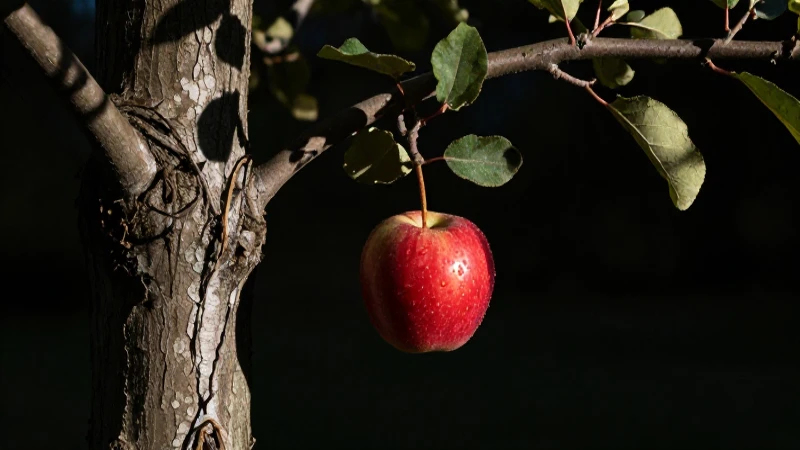 Manzana cayendo con luz dramática