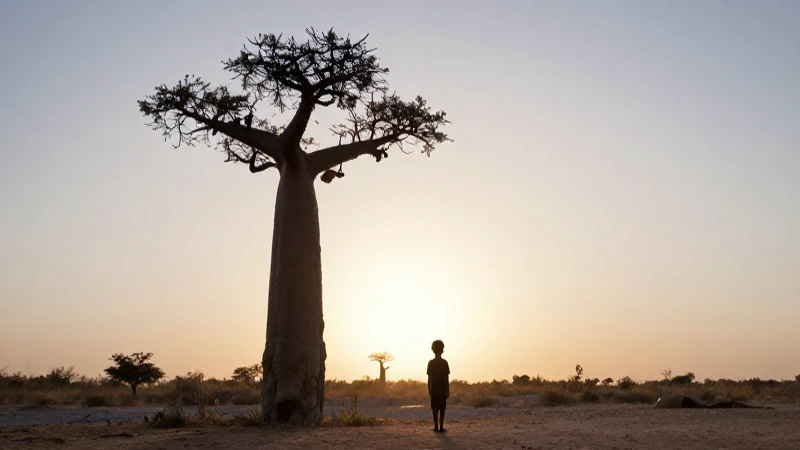 Silueta del principito bajo un baobab soñador
