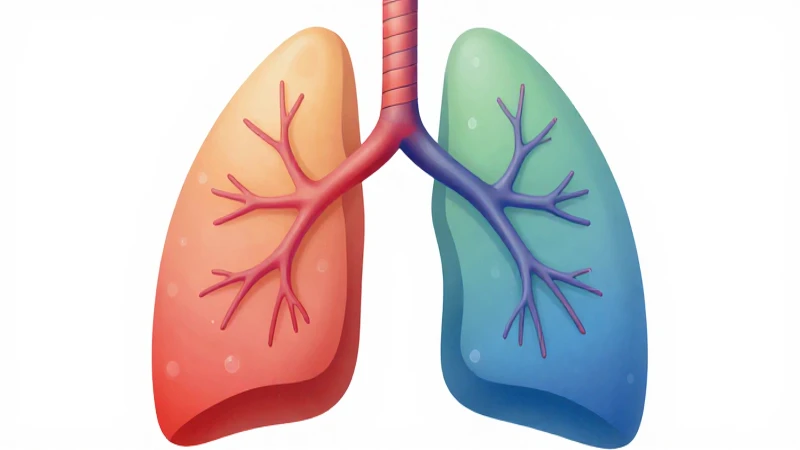 Ilustración anatómica pulmonar con suave luz