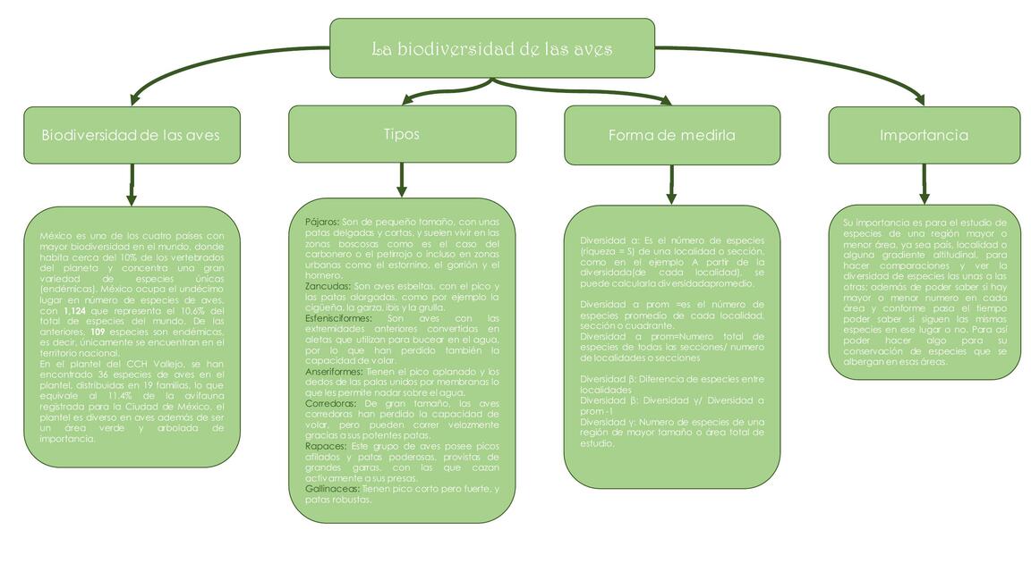 Mapa conceptual sobre la diversidad de aves