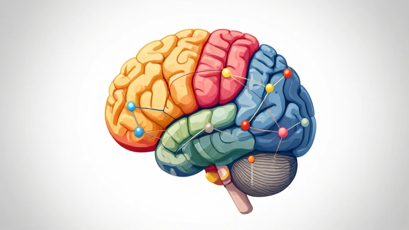 Cerebro colorido, conectado e ilustrado vívidamente
