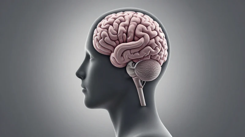 Silueta humana con cerebro, iluminación cinematográfica