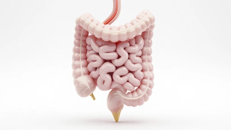 Buscas un mapa conceptual y guía del sistema digestivo 6 Ilustración anatómica del sistema digestivo y modelo intestinal