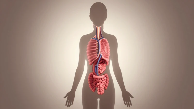 Sistema Endocrino: Mapa Conceptual y Guía Paso a Paso 8 Silueta femenina con diagrama endocrino ilustrado