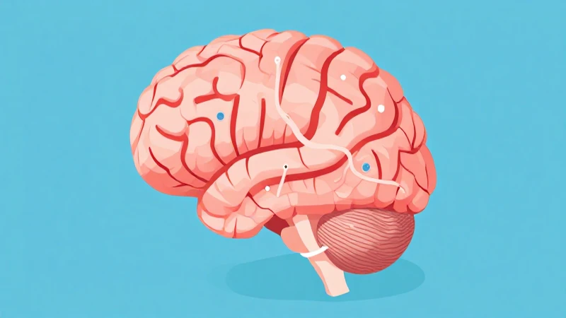 Tomar decisiones: Un esquema para mejorar tus habilidades de toma de decisiones 10 Ilustración vectorial del cerebro con conexiones suaves